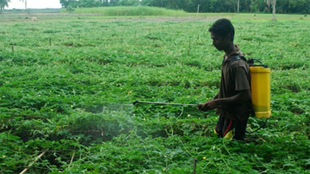 সবজির বিষে বিষাক্ত পরিবেশ