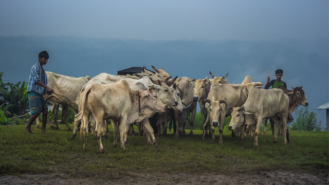 ছবি: প্রতীকী 