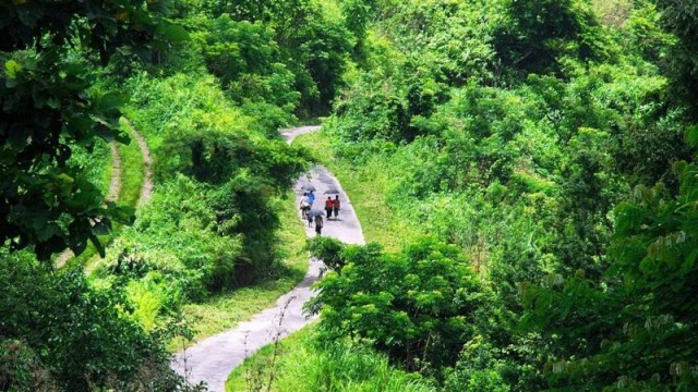 বান্দরবানে পর্যটকদের গাড়িতে বন্দুকধারীদের হামলায় আহত ৪