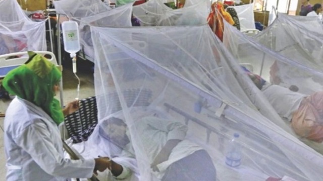 ডেঙ্গু আক্রান্ত হয়ে আরও ২০৩ রোগী হাসপাতালে