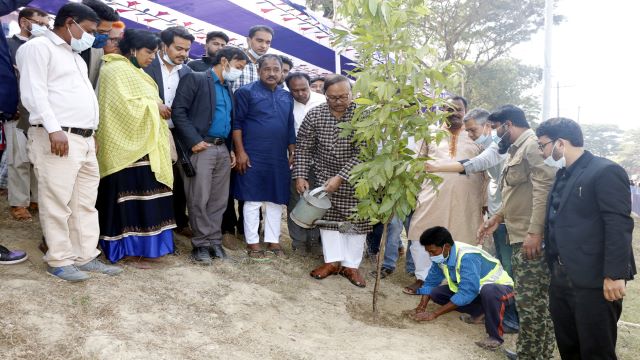 আলুপট্টি থেকে তালাইমারির রাস্তার বাঁধে লাগানো হবে ৯'শ গাছ