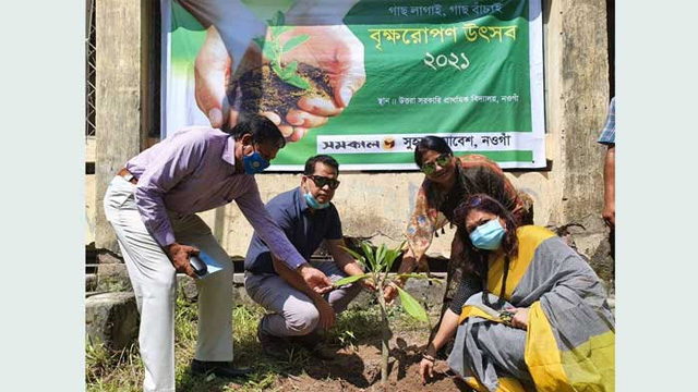 নওগাঁয় বৃক্ষরোপণ কর্মসূচি