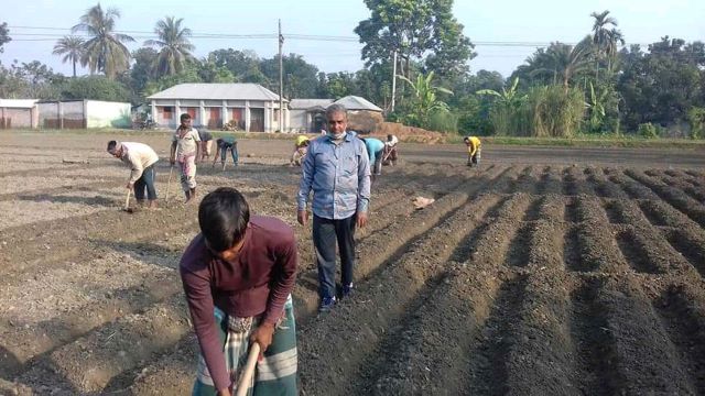 পুঠিয়ায় আলু চাষের রেকর্ড, মাঠে কর্মব্যস্ততায় চাষীরা