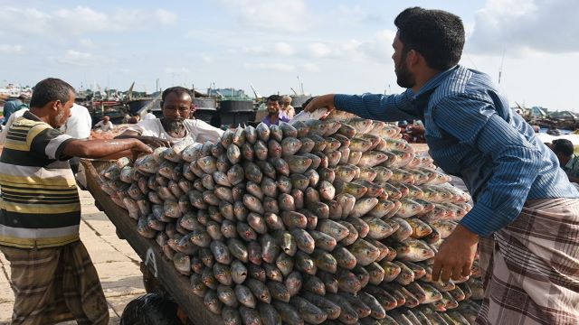 ইলিশ আহরণ নিষিদ্ধের দিন তারিখ নির্ধারণ