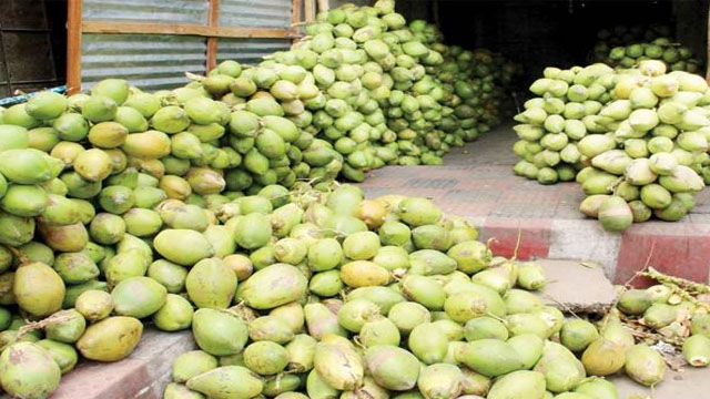 সিংড়ায় ডাবের দাম আকাশচুম্বী