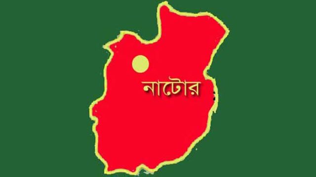 নাটোরে সড়ক দুর্ঘটনায় পথচারী নিহত 