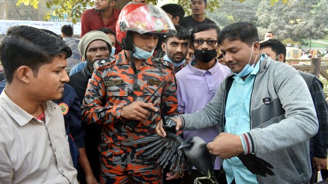 একজন উজ্জল ও ফায়ার সার্ভিসের মানবিক উদ্ধারকর্ম